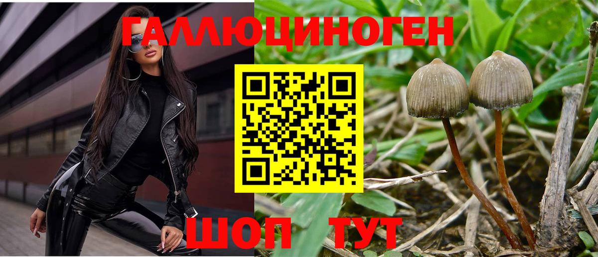 Удомля  Псилоцибиновые грибы GOLDEN TEACHER  Псилоцибиновые грибы ЛСД  Вход с VPN 